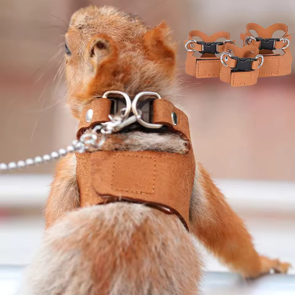1 Set Pet Squirrel Harness with Leash Adjustable & Breathable Harness Leash Set for Small Animals Outdoor Training Walking