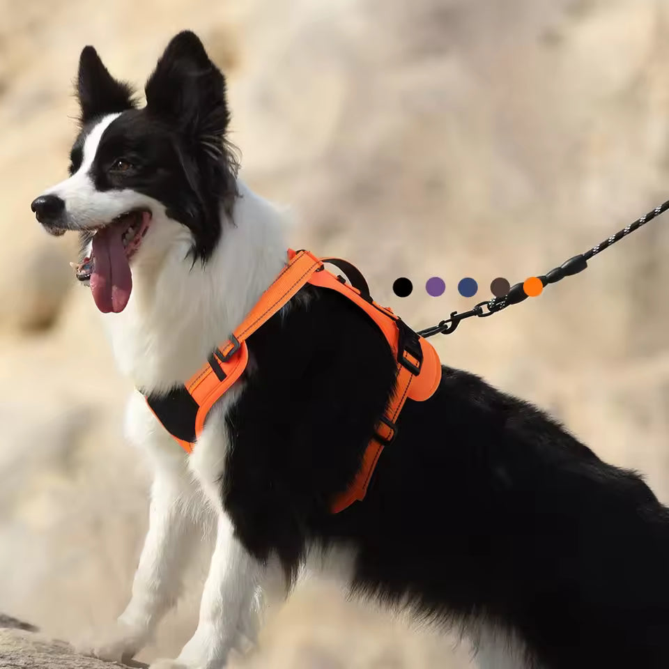 Dog Reflective Vest Harness, Anti-Pull Pet Chest Strap, Safety for Walking & Outdoor, Adjustable & Comfortable