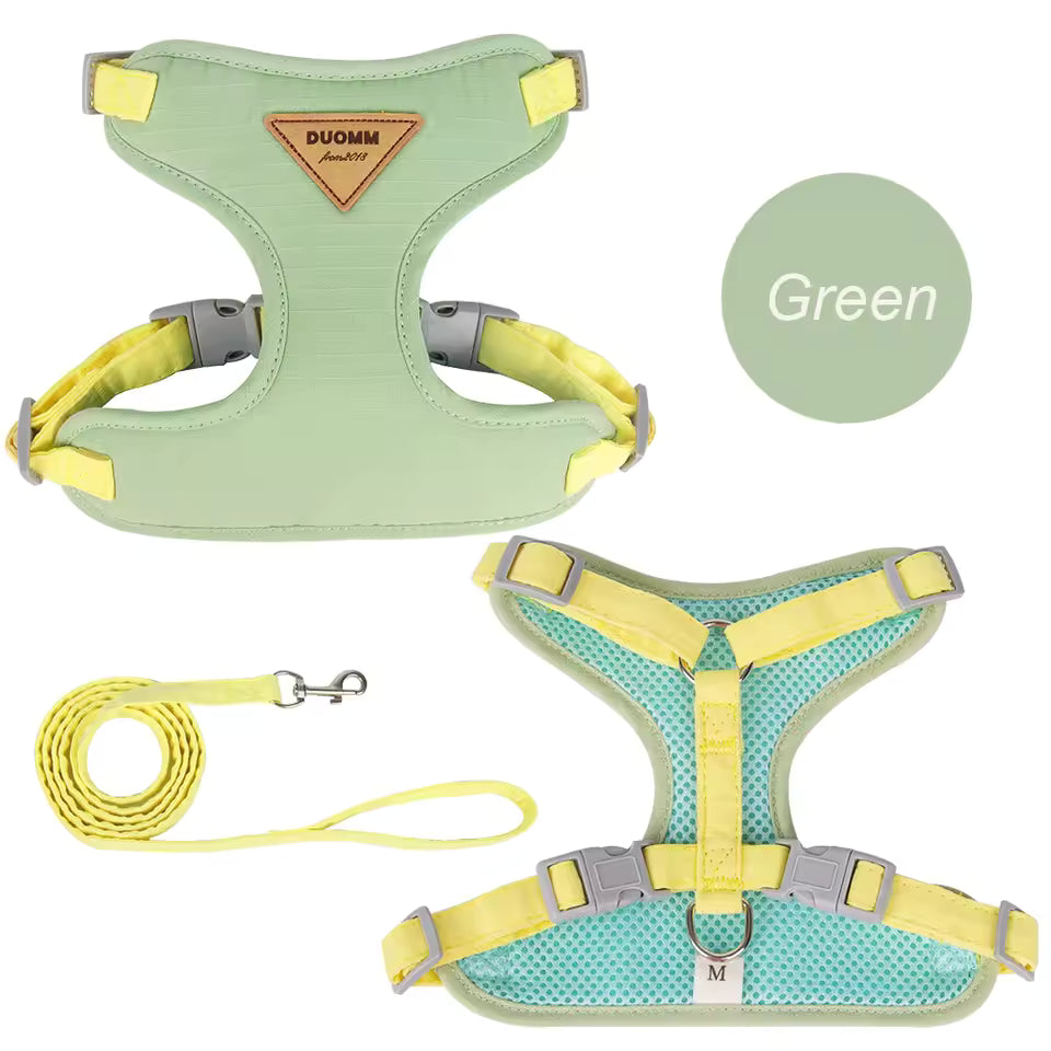 Cat Puppy Outdoor Walking Supplies Fashion Pet Harness and Leash Set for Small Dogs Cats Breathable Durable Kitten Harnesses