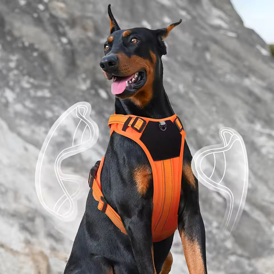 Dog Reflective Vest Harness, Anti-Pull Pet Chest Strap, Safety for Walking & Outdoor, Adjustable & Comfortable
