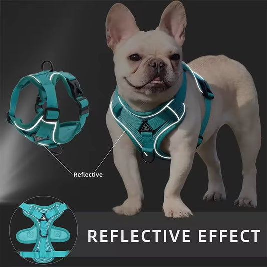 No Pull Dog Harness and Leash Set Adjustable Pet Harness Vest for Small Dogs Cats Reflective Dog Chest Strap Lead Walking