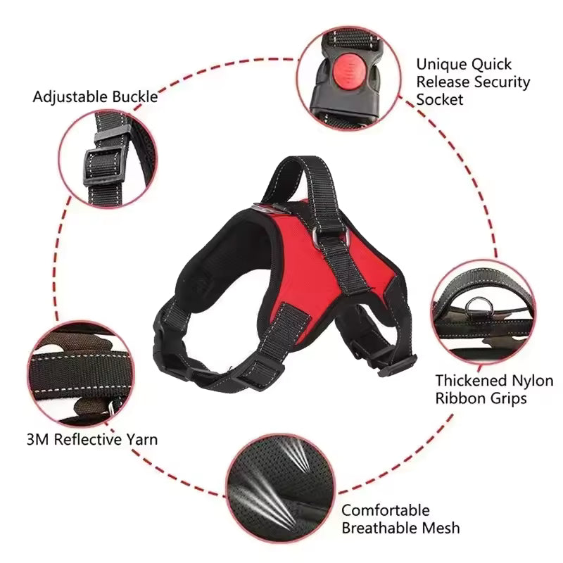 Dog Harness And Leash Set No Pull Adjustable Comfortable with Easy Control Handle Outdoor Running Walking Hand Free Lead Leash