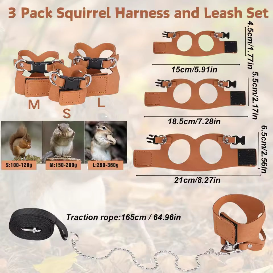 1 Set Pet Squirrel Harness with Leash Adjustable & Breathable Harness Leash Set for Small Animals Outdoor Training Walking