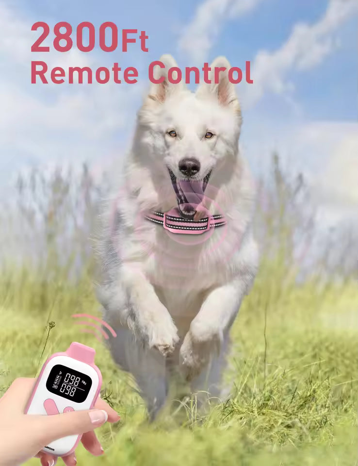 No Shock Dog Training Collar with Remote 2800Ft , Beep Vibration Safe Electric Training Collar Vibration Collar For All Dogs