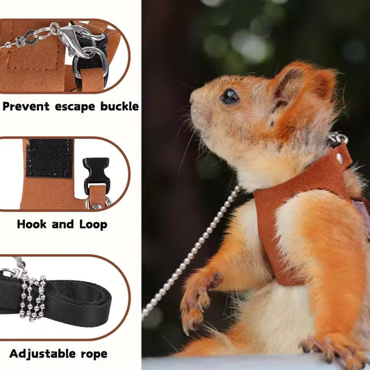 1 Set Pet Squirrel Harness with Leash Adjustable & Breathable Harness Leash Set for Small Animals Outdoor Training Walking