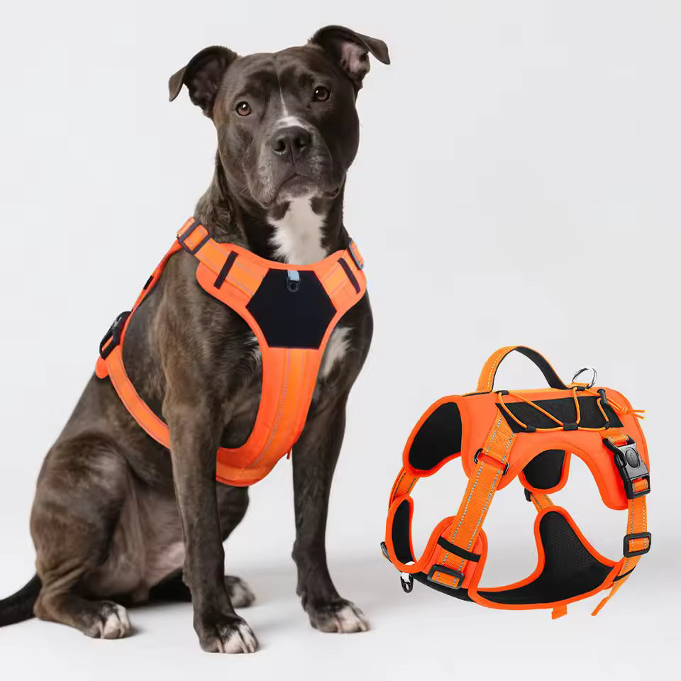 Dog Reflective Vest Harness, Anti-Pull Pet Chest Strap, Safety for Walking & Outdoor, Adjustable & Comfortable