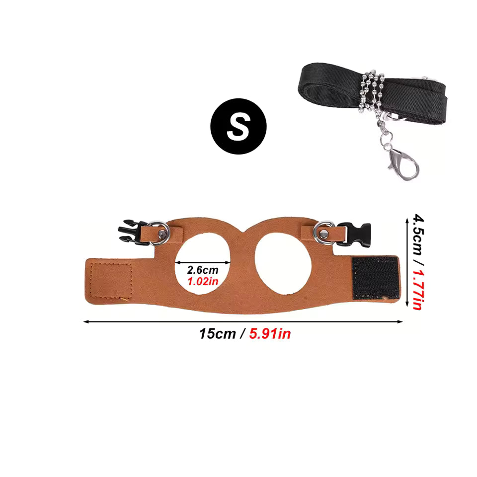 1 Set Pet Squirrel Harness with Leash Adjustable & Breathable Harness Leash Set for Small Animals Outdoor Training Walking